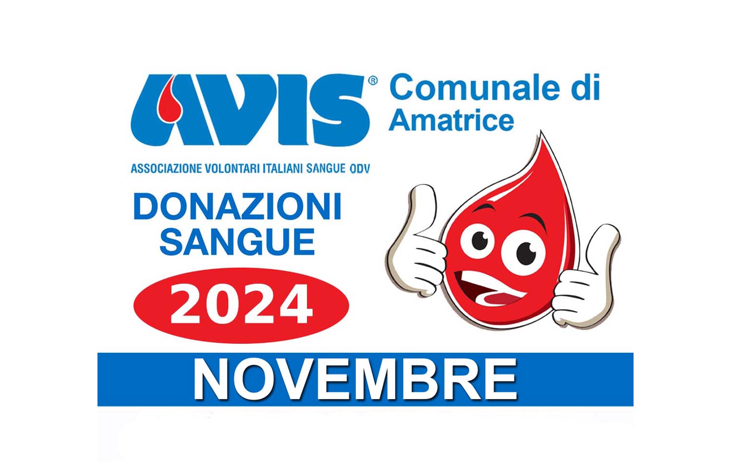 Donazioni novembre 2024